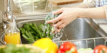 Manipulación de alimentos\u002E