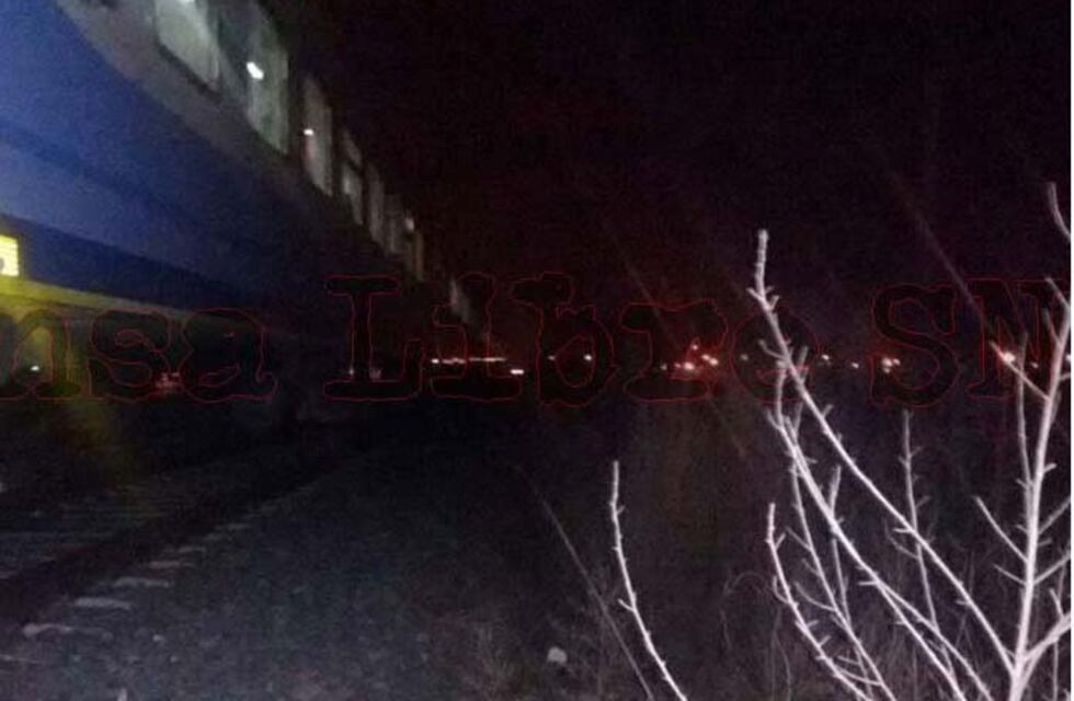 Un joven fue arrollado por el tren pese a los desesperados intentos del maquinista para que se corriera de la vía