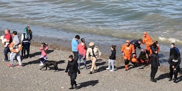 Prefectura rescató a dos jóvenes y a su perro atrapados por la marea
