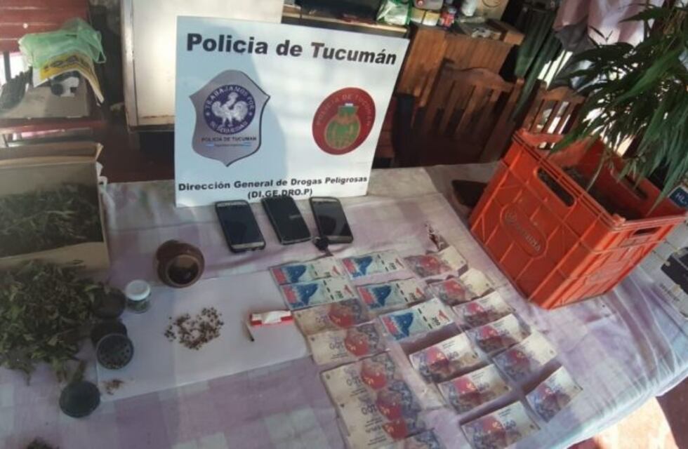 En 15 operativos Digedrop secuestró marihuana, cocaína, armas y dinero