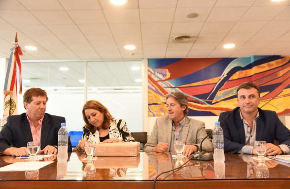 La obra de ampliación del aeropuerto tiene cuatro empresas interesadas