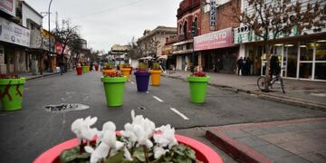 Macetas en Mercado Norte\u002E