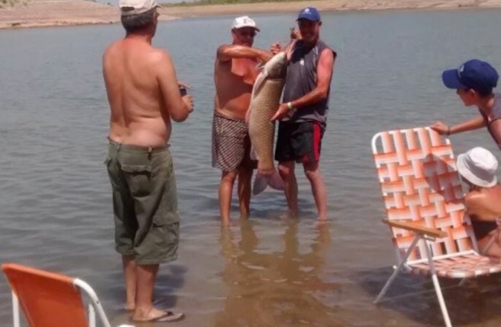 Pescaron una carpa de ¡15 kilos! en el dique El Carrizal