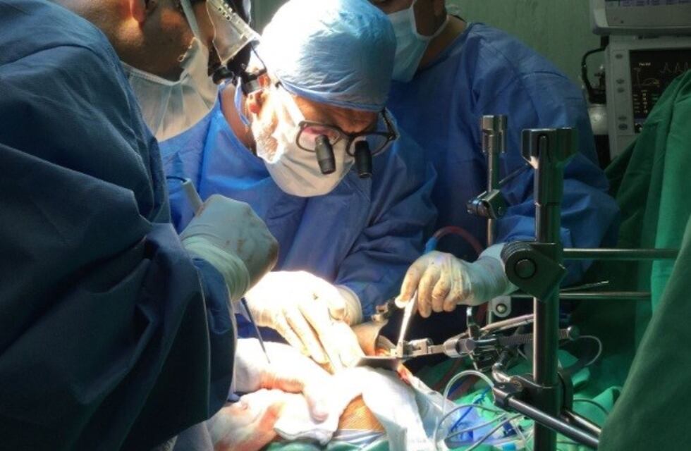 Efectuaron 9 trasplantes de hígado en el Hospital Central