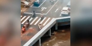 Viral: este video pone a prueba la destreza visual