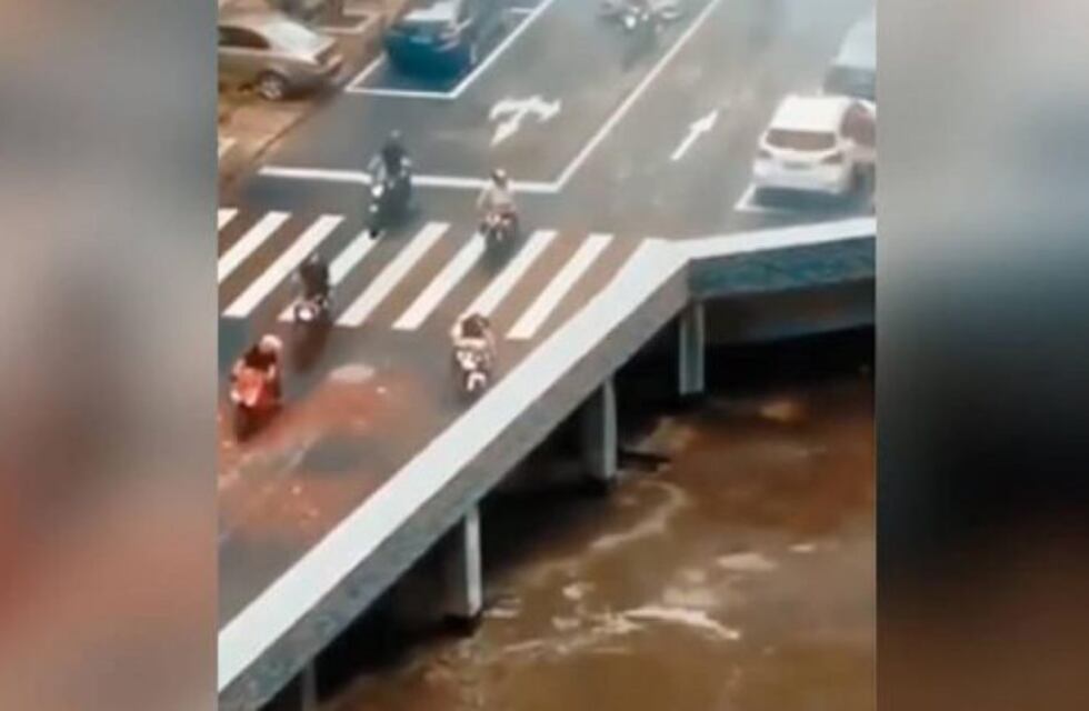 Viral: este video pone a prueba la destreza visual