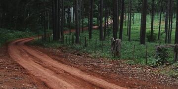 Camino rural en Misiones\u002E