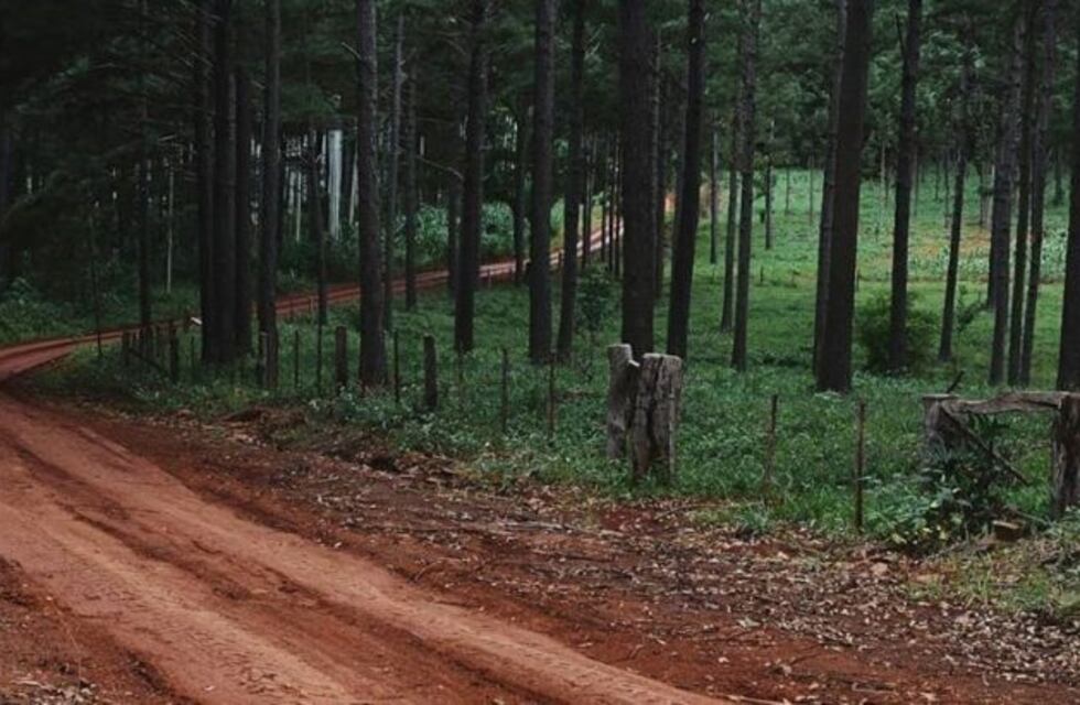Se arrojó de la moto de su cuñado que se ofreció a llevarla e intentó violarla