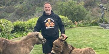 Arnold Schwarzenegger