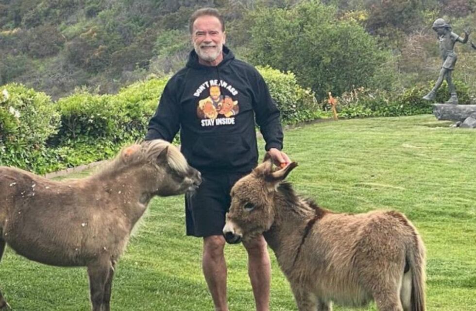 Arnold Schwarzenegger entrenó con su burra y se volvió viral