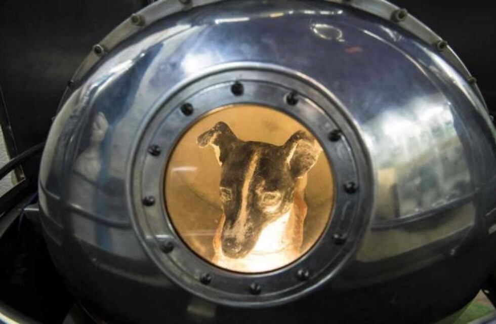 Laika, la perra astronauta que viajó en el primer vuelo espacial tripulado