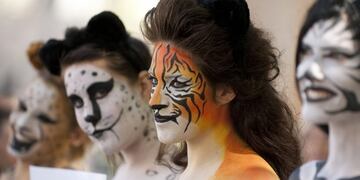 Proteccionistas proponen un "lenguaje inclusivo" de animales