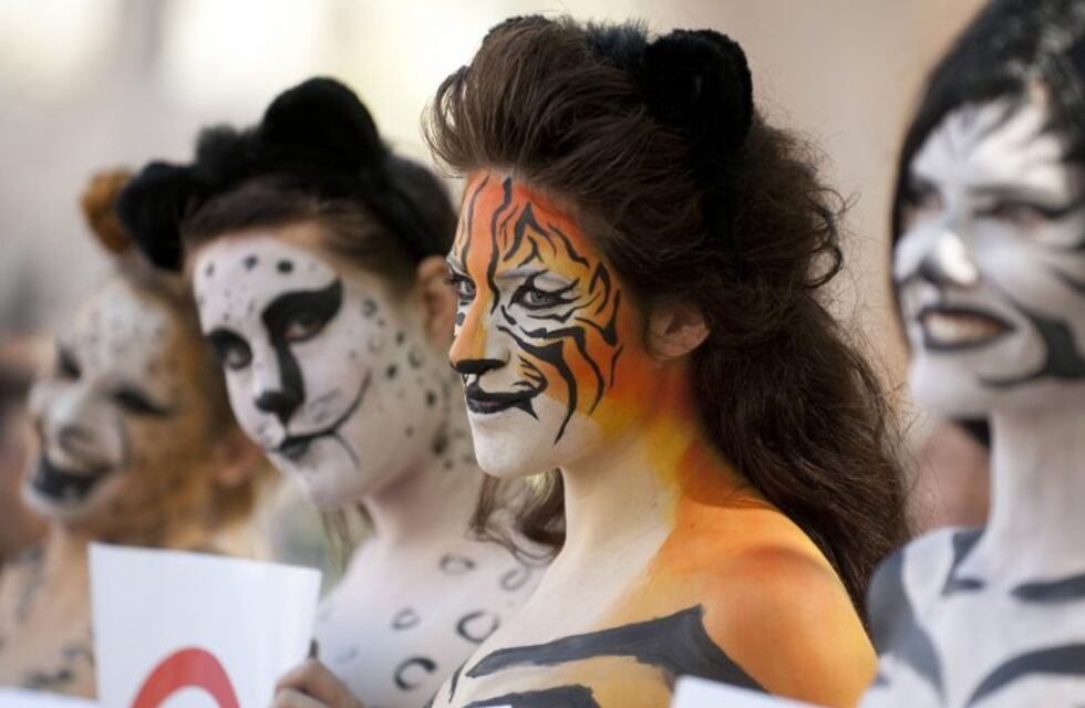 Proteccionistas proponen un "lenguaje inclusivo" de animales