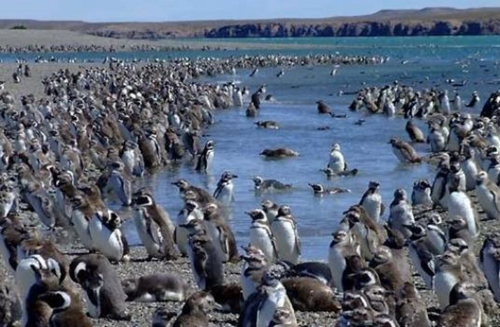 La secretaria de Turismo de Santa Cruz se reunió con prestadores de Puerto Deseado