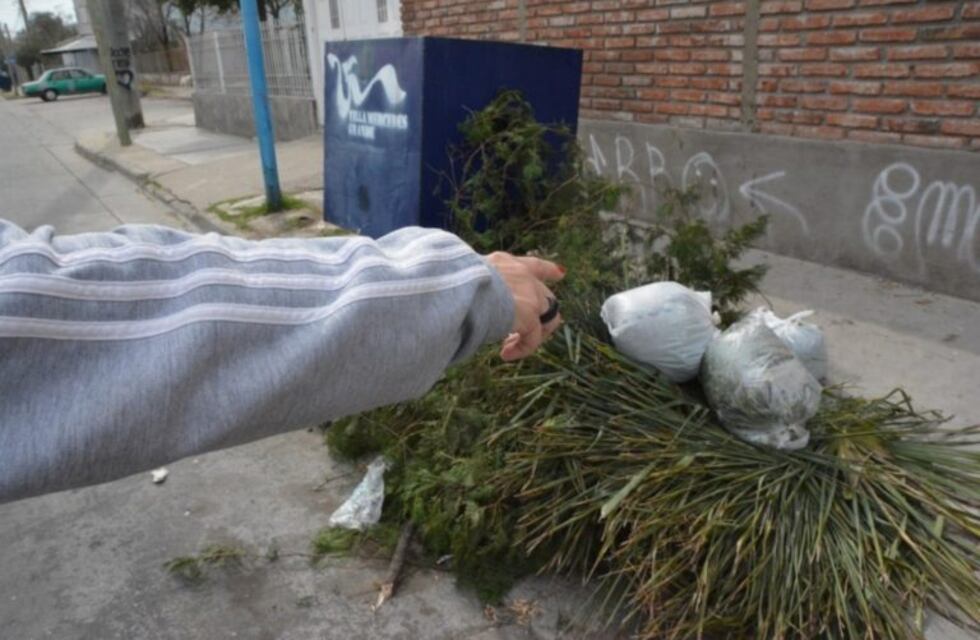 Villa Mercedes: encontraron panes con vidrio en cestos de basura
