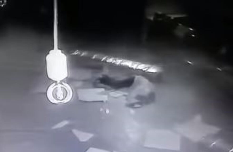 Un ladrón quiso entrar por un ducto de ventilación y cayó de cabeza al piso