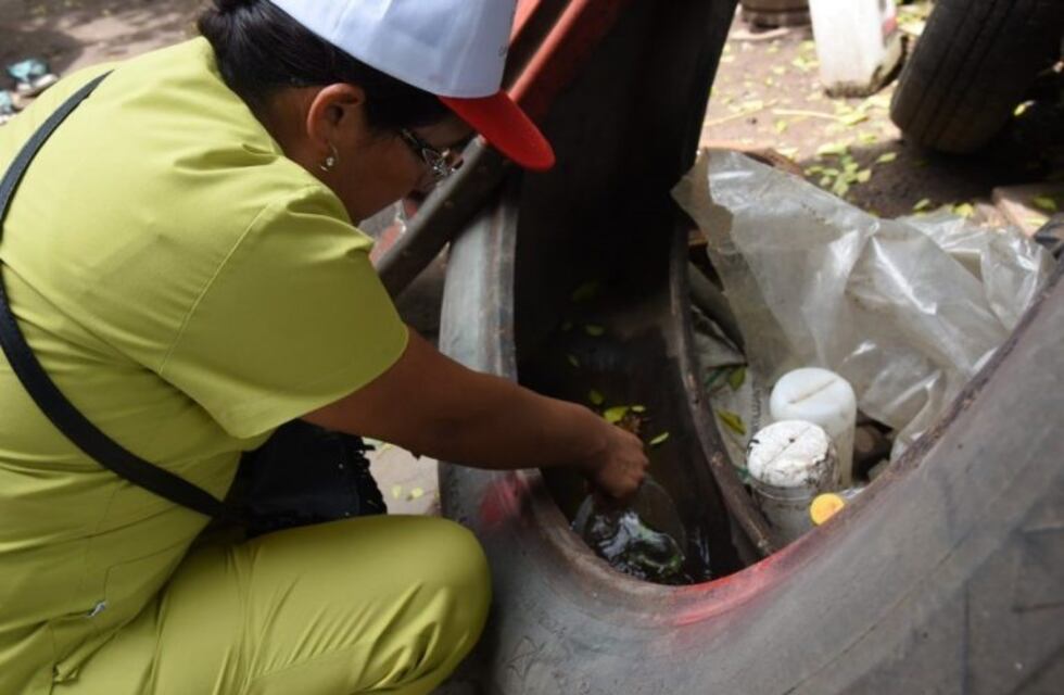 Autoridades confirman un total de 32 casos de dengue en Jujuy