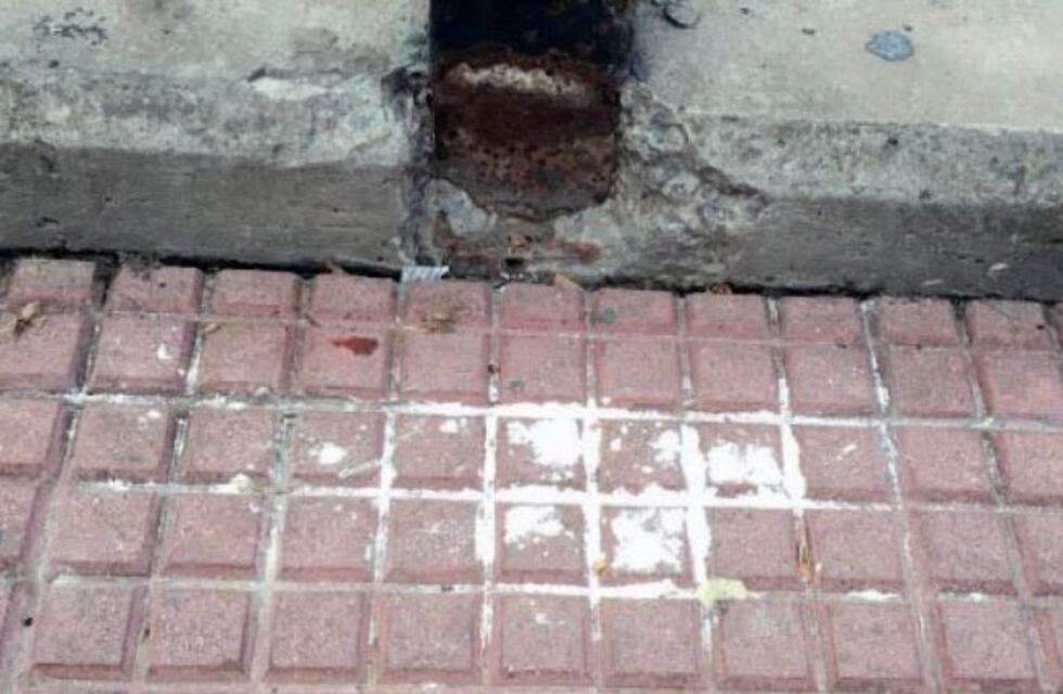 Varios intoxicados por un hombre que tira veneno en plazas y esquinas de Colegiales