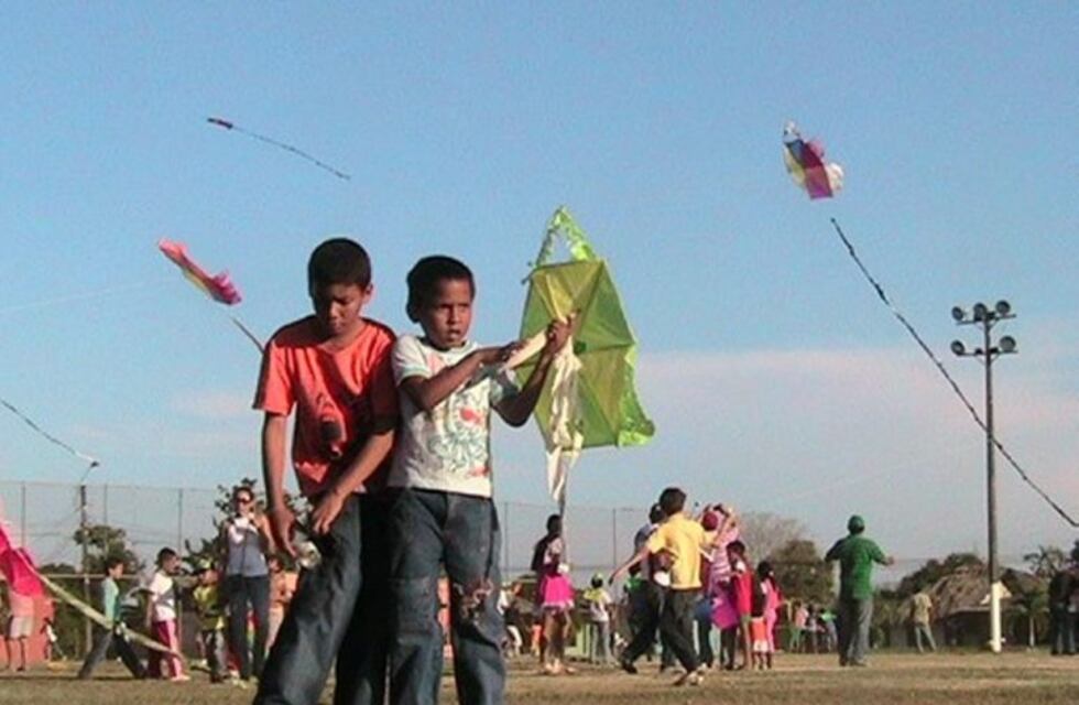 Remontarán barriletes para pedir que se elimine la pirotecnia