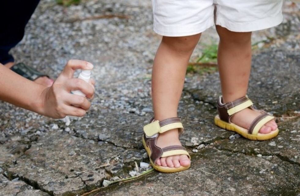 7 rasgos que te hacen irresistible para los mosquitos