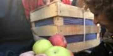 BUENOS AIRES, 23/08/2016, PRODUCTORES FRUTIHORTu00cdCOLAS DE Ru00cdO NEGRO REGALAN 10 MIL KILOS DE FRUTA ENPLAZA DE MAYO, COMO FORMA DE PROTESTA ANTE LA CRISIS QUE ATRAVIESAN LOS PRODUCTORES FRUTIHORTu00cdCOLAS POR EL AUMENTO DE COSTOS Y LA DESAPARICIu00d3N DE PEQUEu00d1OS PRODUCTORES. FOTO:DYN/LUCIANO THIEBERGER plaza de mayo protesta de Productores frutihortu00edcolas regalaron 10 toneladas de peras y manzanas productores protesta regalan fruta