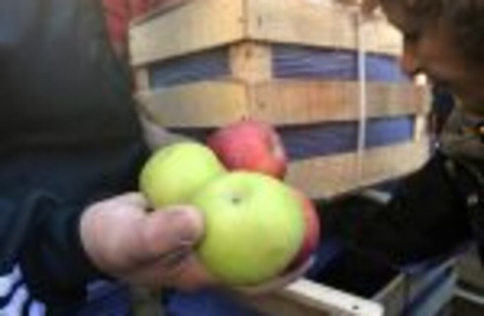 Anunciaron nuevos subsidios eléctricos a productores