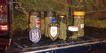 Secuestraron plantas de marihuana y frascos con cannabis en su interior, en una vivienda de Luján de Cuyo\u002E