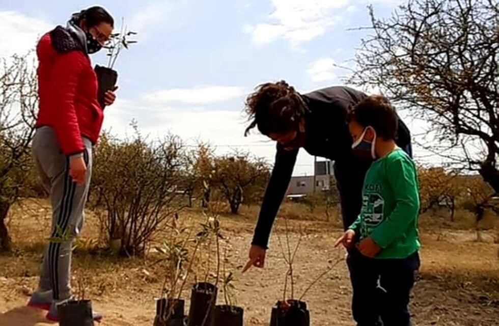 Proponen reforestar Malagueño con 2.500 árboles nativos