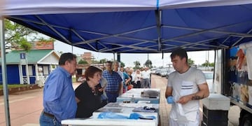 Pescado de mar vendido en Posadas por una cooperativa de Mar del Plata\u002E (MisionesOnline)