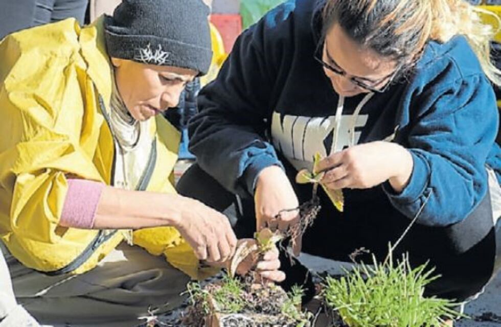 Género y ecología: mujeres que luchan por el ambiente