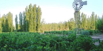 Tiempo bueno el lunes y probabilidad de tormentas martes y miércoles en el sur mendocino.