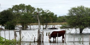 Imagen archivo\u002E Inundaciones en el Litoral\u002E