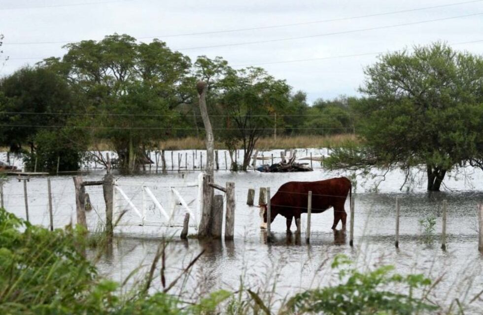 El CRA criticó al Estado por no "priorizar" al productor agropecuario