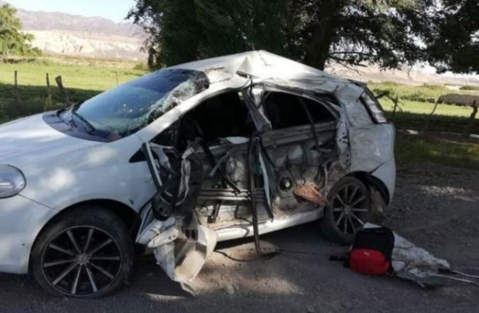 Huían de la policía y terminaron chocando contra un árbol