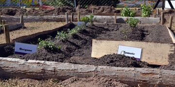 Desde mañana miércoles la comuna de Guaymallén comenzará la entrega de kits de semilas para huertas agroecológicas. Gentileza MG