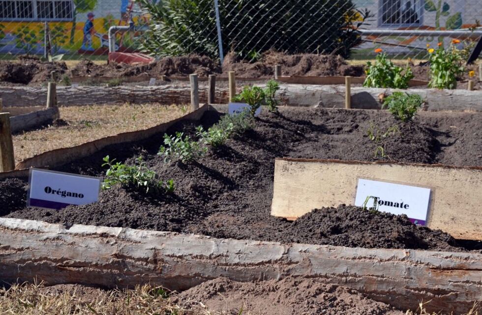 Entregan semillas para huertas agroecológicas en Guaymallén