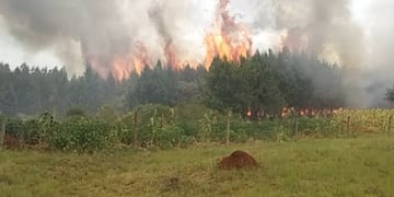 La provincia de Misiones se encuentra nuevamente con riesgo alto de incendios.