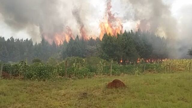 La provincia de Misiones se encuentra nuevamente con riesgo alto de incendios.