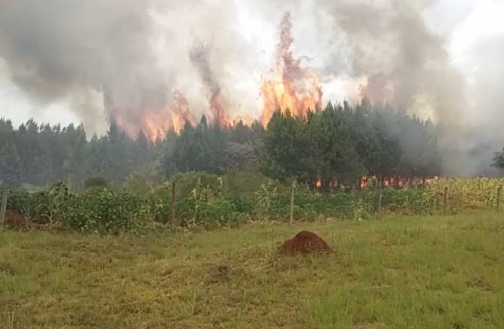 La provincia de Misiones se encuentra nuevamente con alto riesgo de incendios