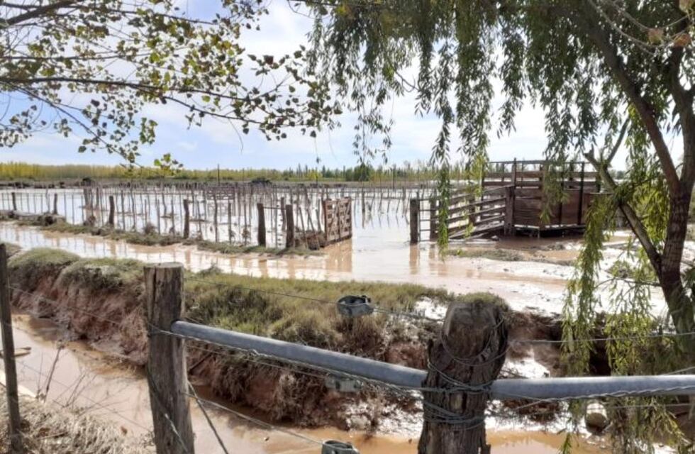 Reunión de funcionarios de Economía y ganaderos de San Rafael por las pérdidas que dejó la tormenta