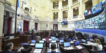 El aborto se trataría en Senadores el 29 de diciembre.