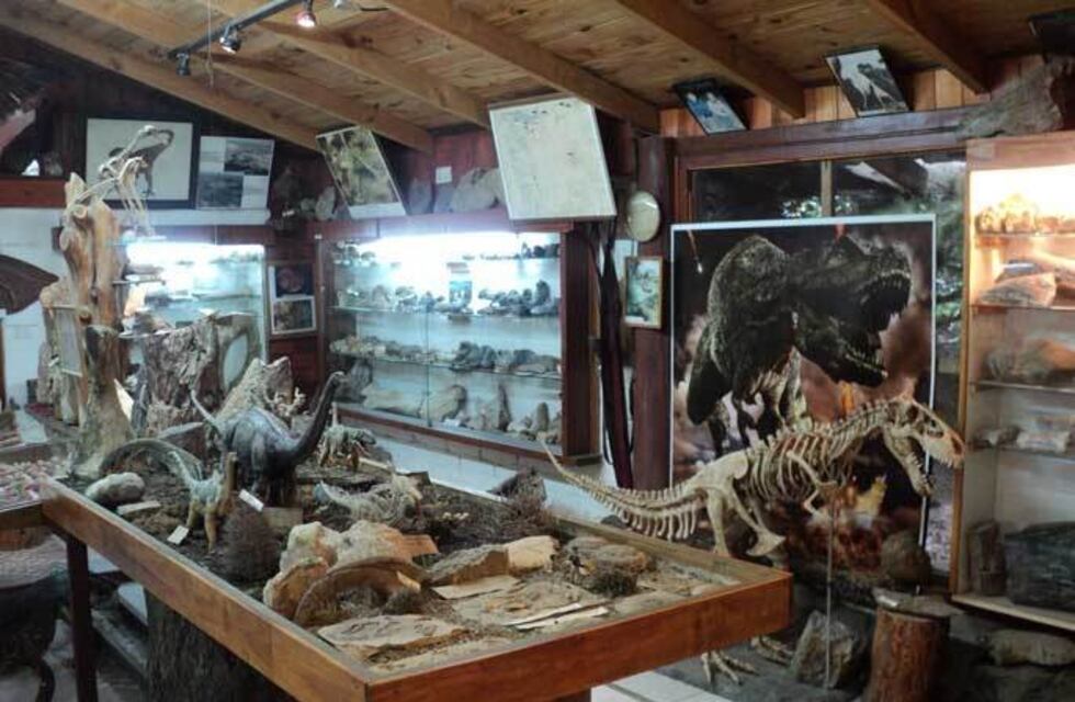 Bariloche: el museo paleontológico, en conflicto con el municipio, se trasladará a España
