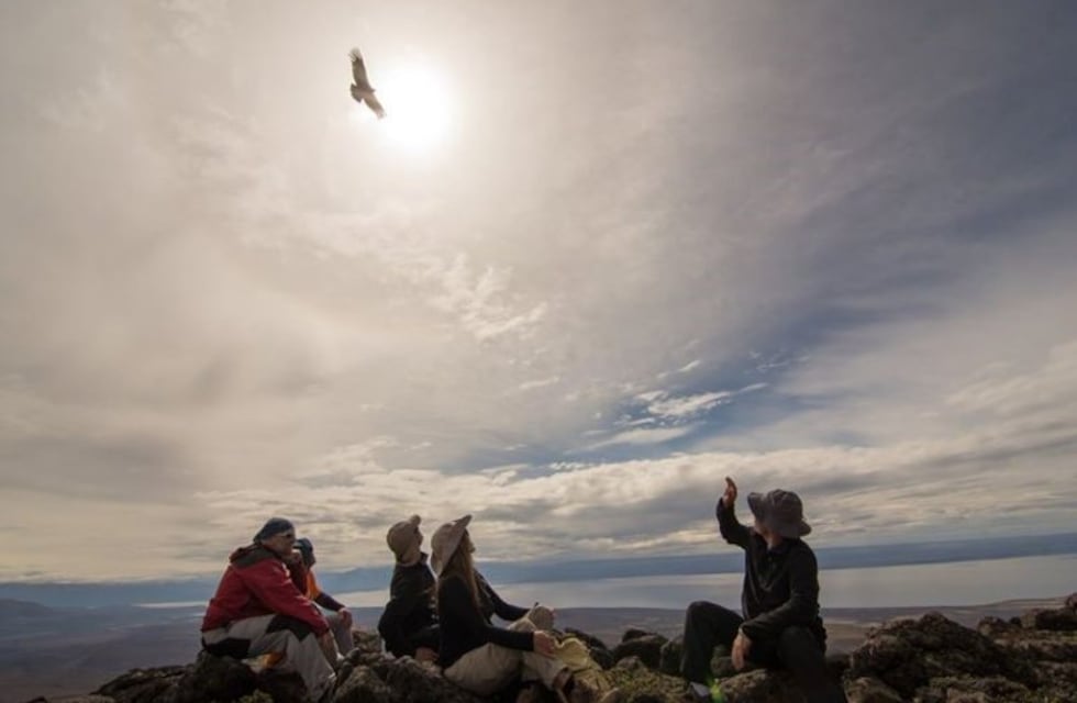 Estudian animales salvajes de Santa Cruz