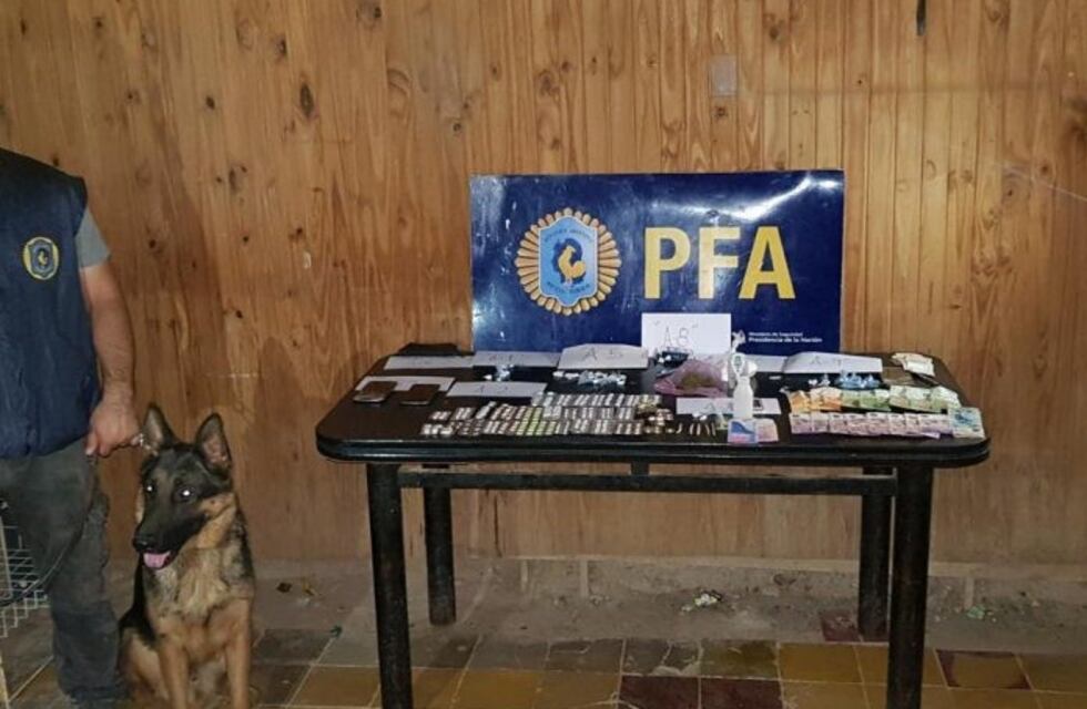 Un perro desbarató una red narco que funcionaba en San Juan