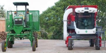 Cosechadoras de té con propulsión propia\u002E (WEB)