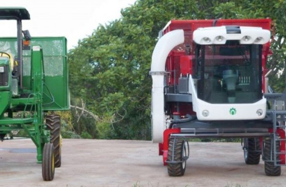 Cosechadoras de té a Kenia y Ecuador, logro de una pyme de Misiones