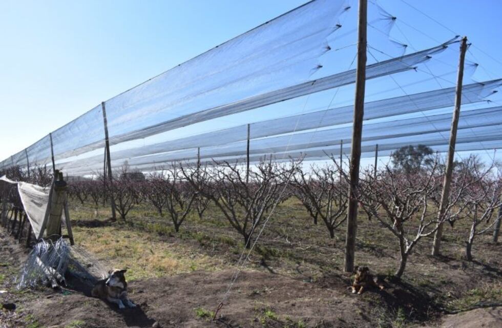 Colonia Caroya: más de 8 millones de pesos para productores