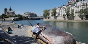 Tim Van Noten a member of a Belgian artists' collective pours water on a real-looking, life-size whale sculpture is displayed along the Seine River in Paris, France, Friday, July 21, 2017\u002E A Belgian artists' collective installed a very real-looking, life-size whale sculpture alongside the Seine River on Friday, eliciting surprise and concern from tourists and Parisians alike\u002E (AP Photo/Michel Euler) francia paris  instalacion artistica ballena varada en el rio sena en paris arte instalaciones artisticas escultura de ballena