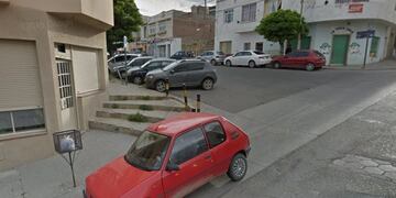 Hallaron una bolsa con animales muertos en pleno centro