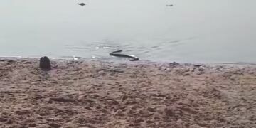 (Foto: Captura de video)